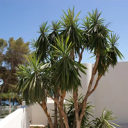 Extravagant Ibiza Casa Tranquila S'argamassa 5 Bedrooms Fantastic Villa